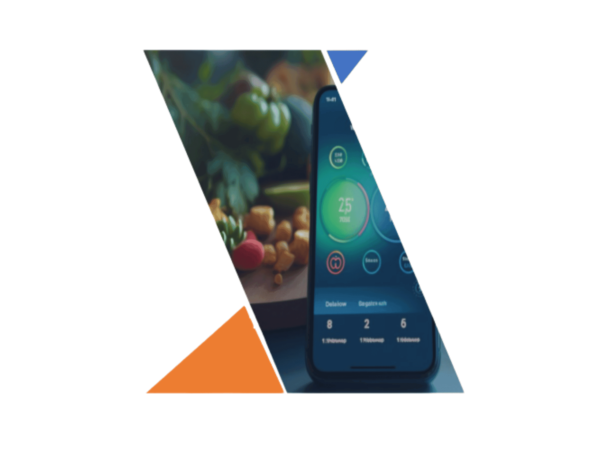 Pet Health & Location Monitoring Device